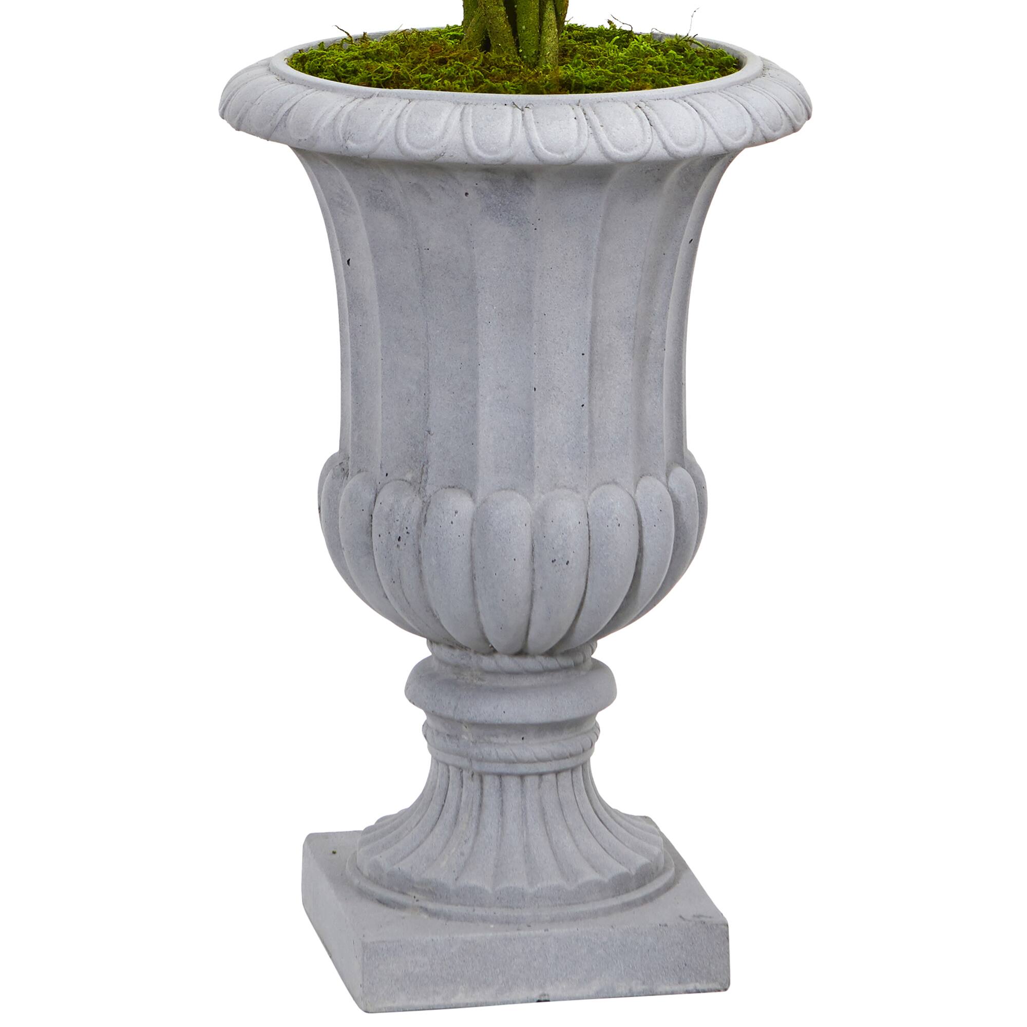 3ft. Braided Boxwood Topiary Tree in Gray Urn